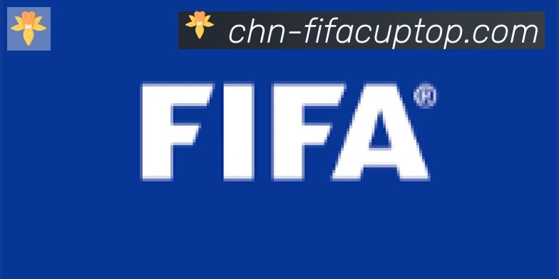 世界杯新版app下载合作伙伴